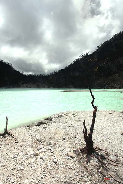 kawah putih 2.5